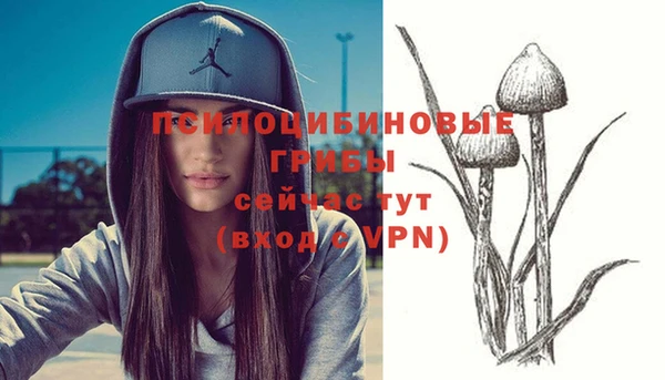 гидропоника Аркадак